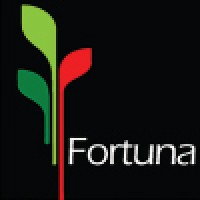 Fortuna DMCC