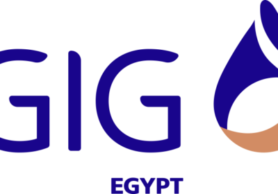 GIG (Arab Misr Insurance Group)