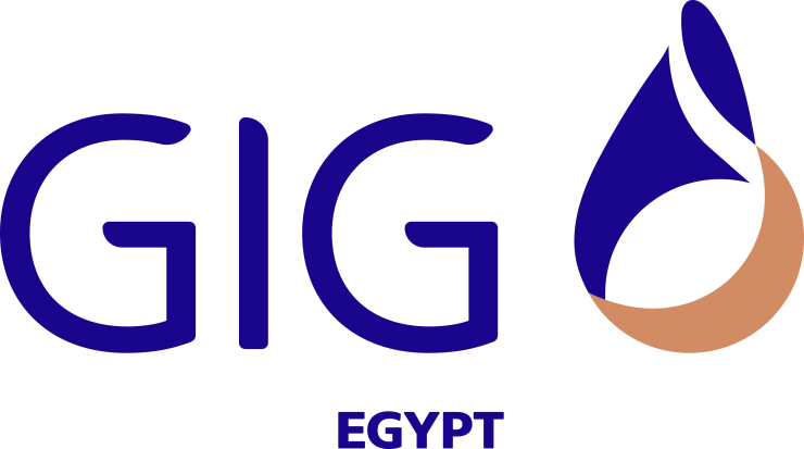 GIG (Arab Misr Insurance Group)